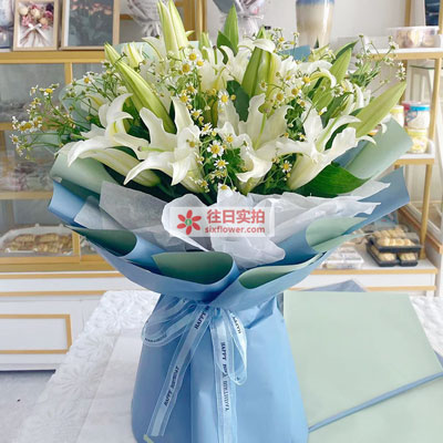 永州8支白色多头百合洋甘菊，互倾的思念